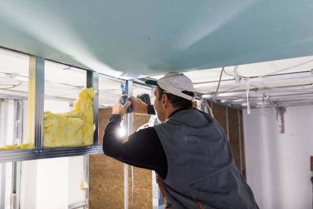 Best Specialty Insulation in Combes, TX